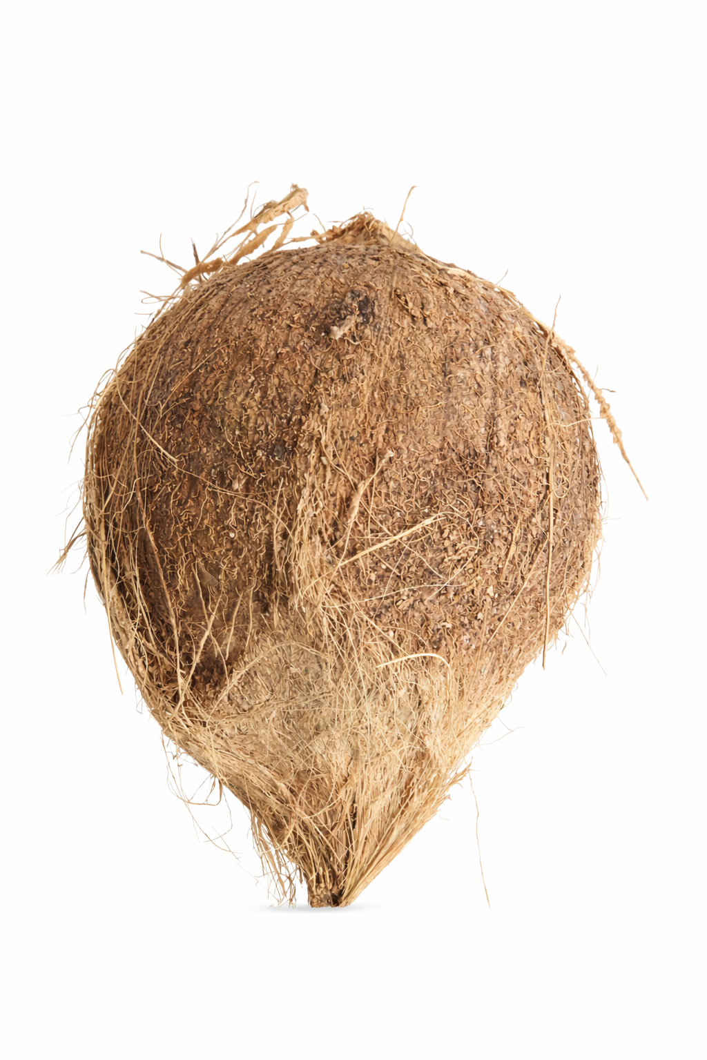 Whole Coconut With Water